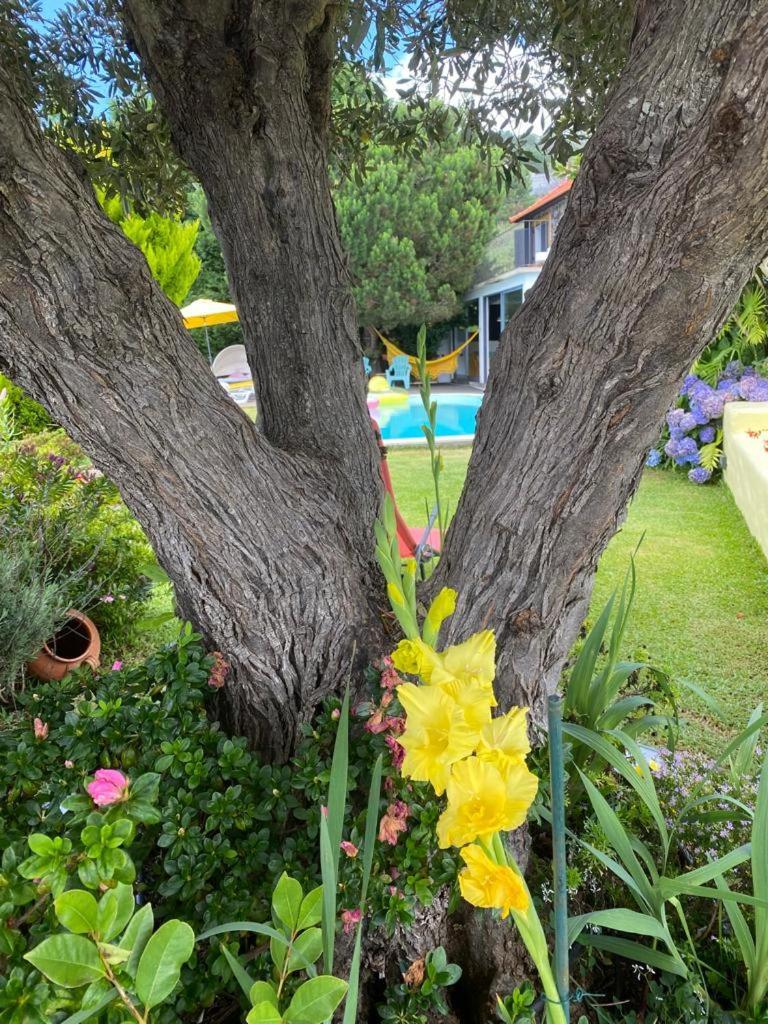 Vila Casa de Prazeres Exteriér fotografie